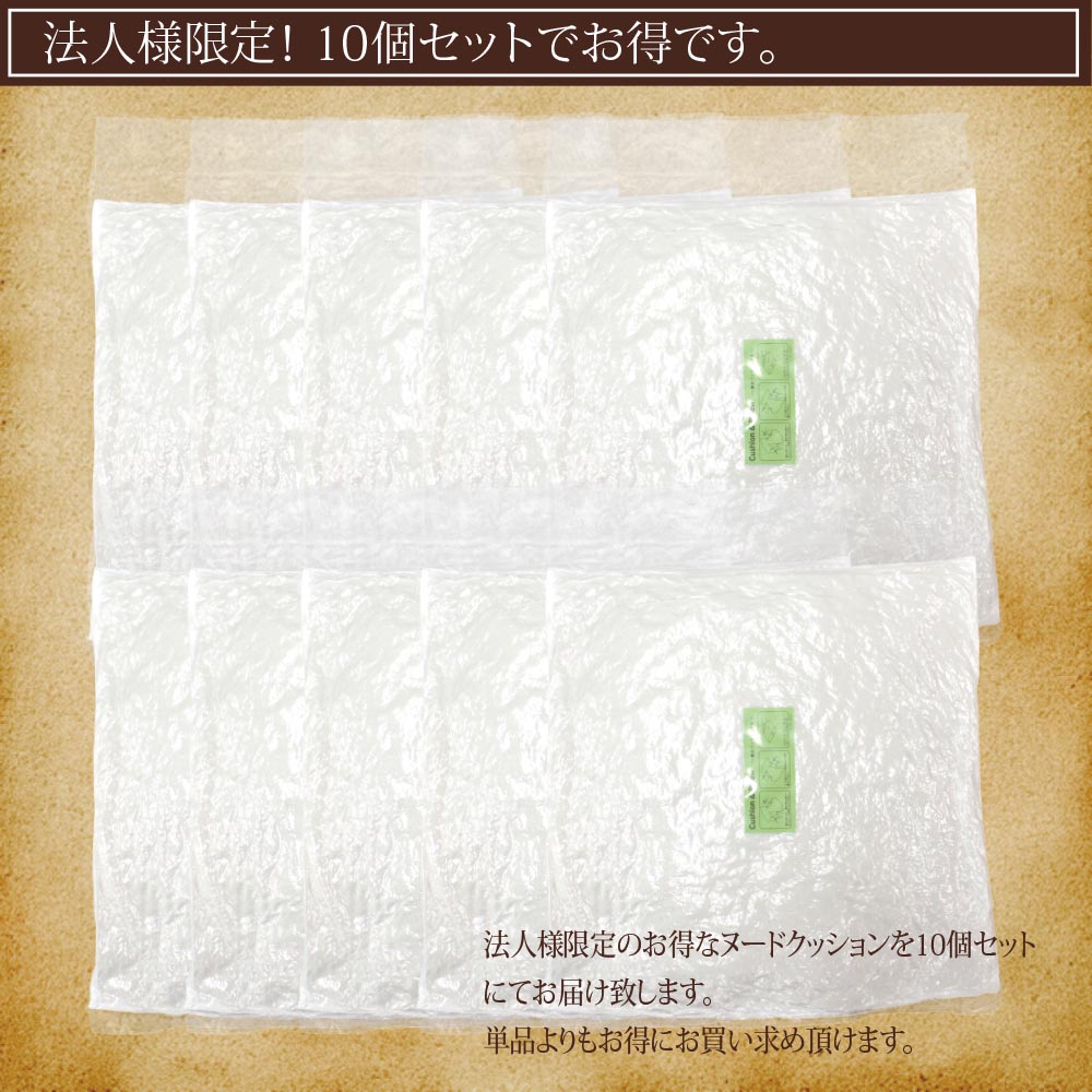 【ヌードクッション10個セット(35×35cm)】クッション ヌードクッション クッション中身 クッション小さめ 枕 ※法人様限定販売